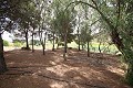 Country House with a pool in a nice location in  Dream Villas Alicante