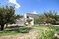 Freistehendes Landhaus in der Nähe von Monovar mit toller Aussicht in  Dream Villas Alicante