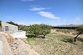 Freistehendes Landhaus in der Nähe von Monovar mit toller Aussicht in  Dream Villas Alicante