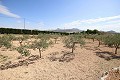 Freistehendes Landhaus in der Nähe von Monovar mit toller Aussicht in  Dream Villas Alicante