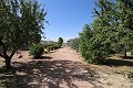 Villa individuelle avec unité industrielle près de Monovar et Pinoso in  Dream Villas Alicante
