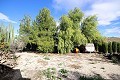 Detached Villa in Monovar with two guest houses and a pool in  Dream Villas Alicante