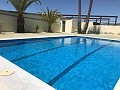 Groot landhuis met marmeren bedrijf en druivenplantage in  Dream Villas Alicante