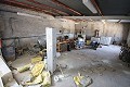 Groot landhuis met marmeren bedrijf en druivenplantage in  Dream Villas Alicante