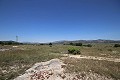 Groot landhuis met marmeren bedrijf en druivenplantage in  Dream Villas Alicante