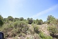 Groot landhuis met marmeren bedrijf en druivenplantage in  Dream Villas Alicante