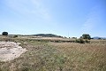 Groot landhuis met marmeren bedrijf en druivenplantage in  Dream Villas Alicante
