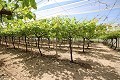 Groot landhuis met marmeren bedrijf en druivenplantage in  Dream Villas Alicante