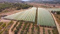 Groot landhuis met marmeren bedrijf en druivenplantage in  Dream Villas Alicante