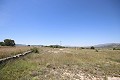 Groot landhuis met marmeren bedrijf en druivenplantage in  Dream Villas Alicante