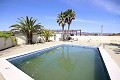 Groot landhuis met marmeren bedrijf en druivenplantage in  Dream Villas Alicante