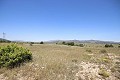 Groot landhuis met marmeren bedrijf en druivenplantage in  Dream Villas Alicante