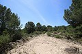 Groot landhuis met marmeren bedrijf en druivenplantage in  Dream Villas Alicante