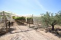 Groot landhuis met marmeren bedrijf en druivenplantage in  Dream Villas Alicante