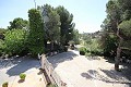 Groot landhuis met marmeren bedrijf en druivenplantage in  Dream Villas Alicante