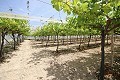 Groot landhuis met marmeren bedrijf en druivenplantage in  Dream Villas Alicante