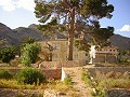 12.441m2 Finca in Raiguero de Bonanza, Orihuela in  Dream Villas Alicante