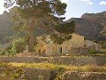 12.441m2 Finca in Raiguero de Bonanza, Orihuela in  Dream Villas Alicante