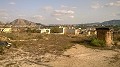 12.441m2 Finca in Raiguero de Bonanza, Orihuela in  Dream Villas Alicante