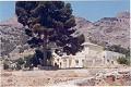 12.441m2 Finca in Raiguero de Bonanza, Orihuela in  Dream Villas Alicante