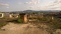 12.441m2 Finca in Raiguero de Bonanza, Orihuela in  Dream Villas Alicante