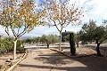 Prachtige villa met 6 slaapkamers in Sax in  Dream Villas Alicante