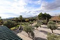 Prachtige villa met 6 slaapkamers in Sax in  Dream Villas Alicante