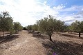 Prachtige villa met 6 slaapkamers in Sax in  Dream Villas Alicante
