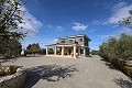 Prachtige villa met 6 slaapkamers in Sax in  Dream Villas Alicante