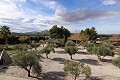 Prachtige villa met 6 slaapkamers in Sax in  Dream Villas Alicante