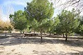 Large Detached Villa with a pool close to town in Elda-Petrer in  Dream Villas Alicante