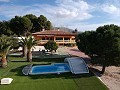 Large Detached Villa with a pool close to town in Elda-Petrer in  Dream Villas Alicante