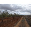 Plot in Raspay in  Dream Villas Alicante