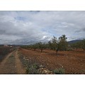 Plot in Raspay in  Dream Villas Alicante