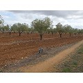 Plot in Raspay in  Dream Villas Alicante