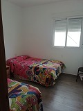 Schöne Villa in Ricabacica, Abanilla + Olivenhain in Partidor in  Dream Villas Alicante
