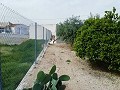 Schöne Villa in Ricabacica, Abanilla + Olivenhain in Partidor in  Dream Villas Alicante