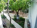 Schöne Villa in Ricabacica, Abanilla + Olivenhain in Partidor in  Dream Villas Alicante