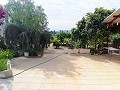 Schöne Villa in Ricabacica, Abanilla + Olivenhain in Partidor in  Dream Villas Alicante