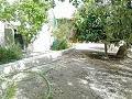 Schöne Villa in Ricabacica, Abanilla + Olivenhain in Partidor in  Dream Villas Alicante