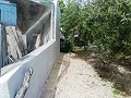 Schöne Villa in Ricabacica, Abanilla + Olivenhain in Partidor in  Dream Villas Alicante