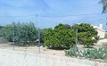 Schöne Villa in Ricabacica, Abanilla + Olivenhain in Partidor in  Dream Villas Alicante