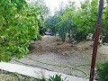 Schöne Villa in Ricabacica, Abanilla + Olivenhain in Partidor in  Dream Villas Alicante