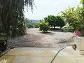 Schöne Villa in Ricabacica, Abanilla + Olivenhain in Partidor in  Dream Villas Alicante
