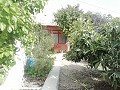 Schöne Villa in Ricabacica, Abanilla + Olivenhain in Partidor in  Dream Villas Alicante