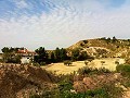 Schöne Villa in Ricabacica, Abanilla + Olivenhain in Partidor in  Dream Villas Alicante