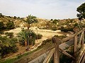 Schöne Villa in Ricabacica, Abanilla + Olivenhain in Partidor in  Dream Villas Alicante