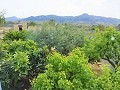 Schöne Villa in Ricabacica, Abanilla + Olivenhain in Partidor in  Dream Villas Alicante