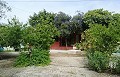 Schöne Villa in Ricabacica, Abanilla + Olivenhain in Partidor in  Dream Villas Alicante