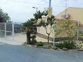 Schöne Villa in Ricabacica, Abanilla + Olivenhain in Partidor in  Dream Villas Alicante